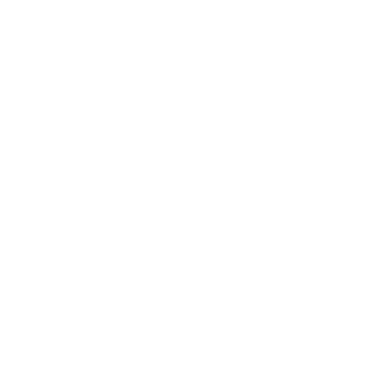 Nalo Studios Logo